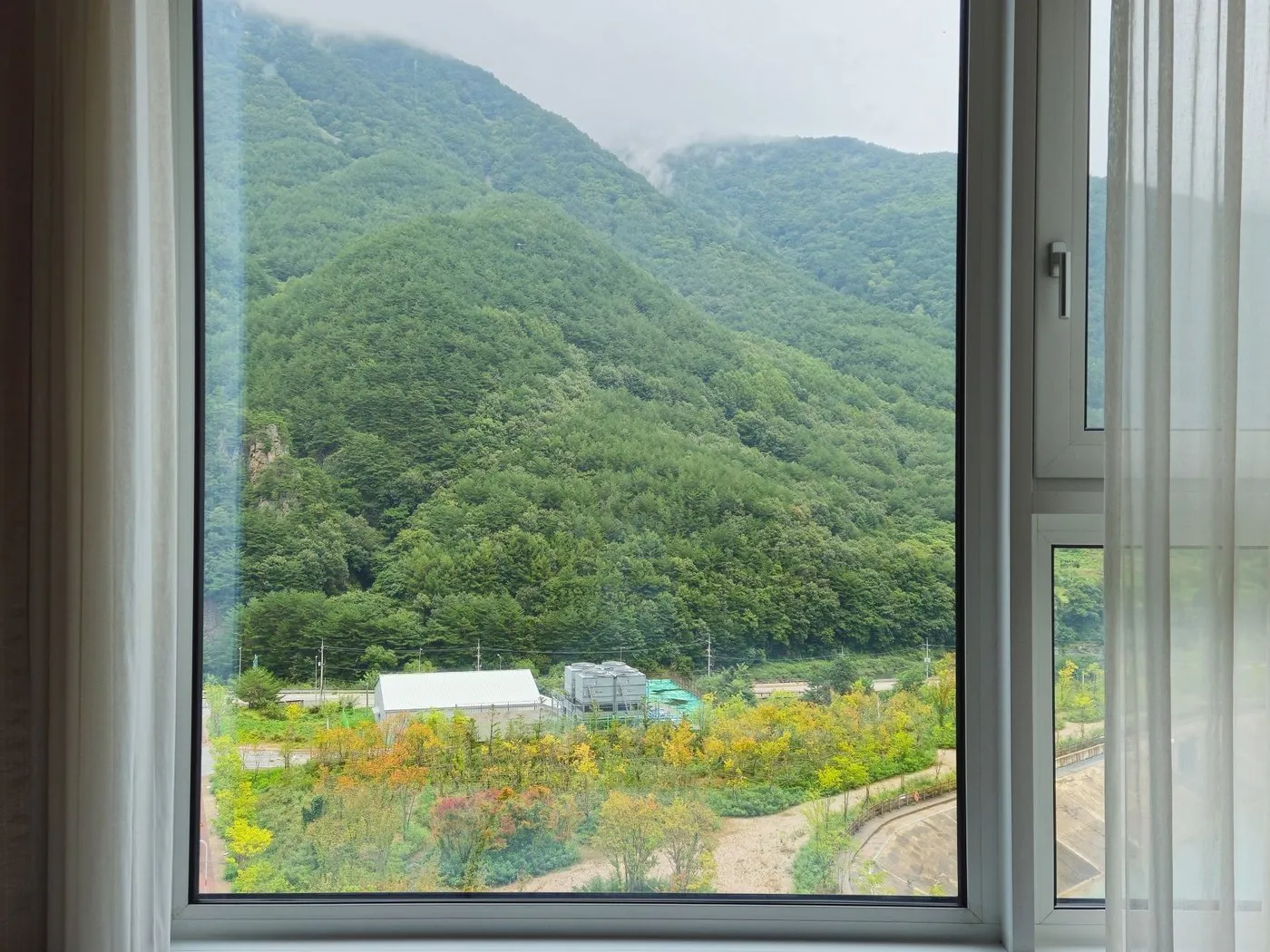 정선 호텔 뷰