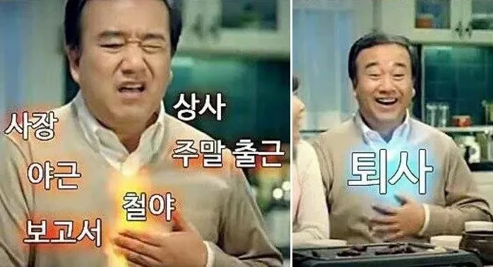 개비스콘 밈
